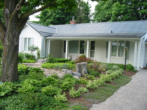 Front lawn under a large maple tree
