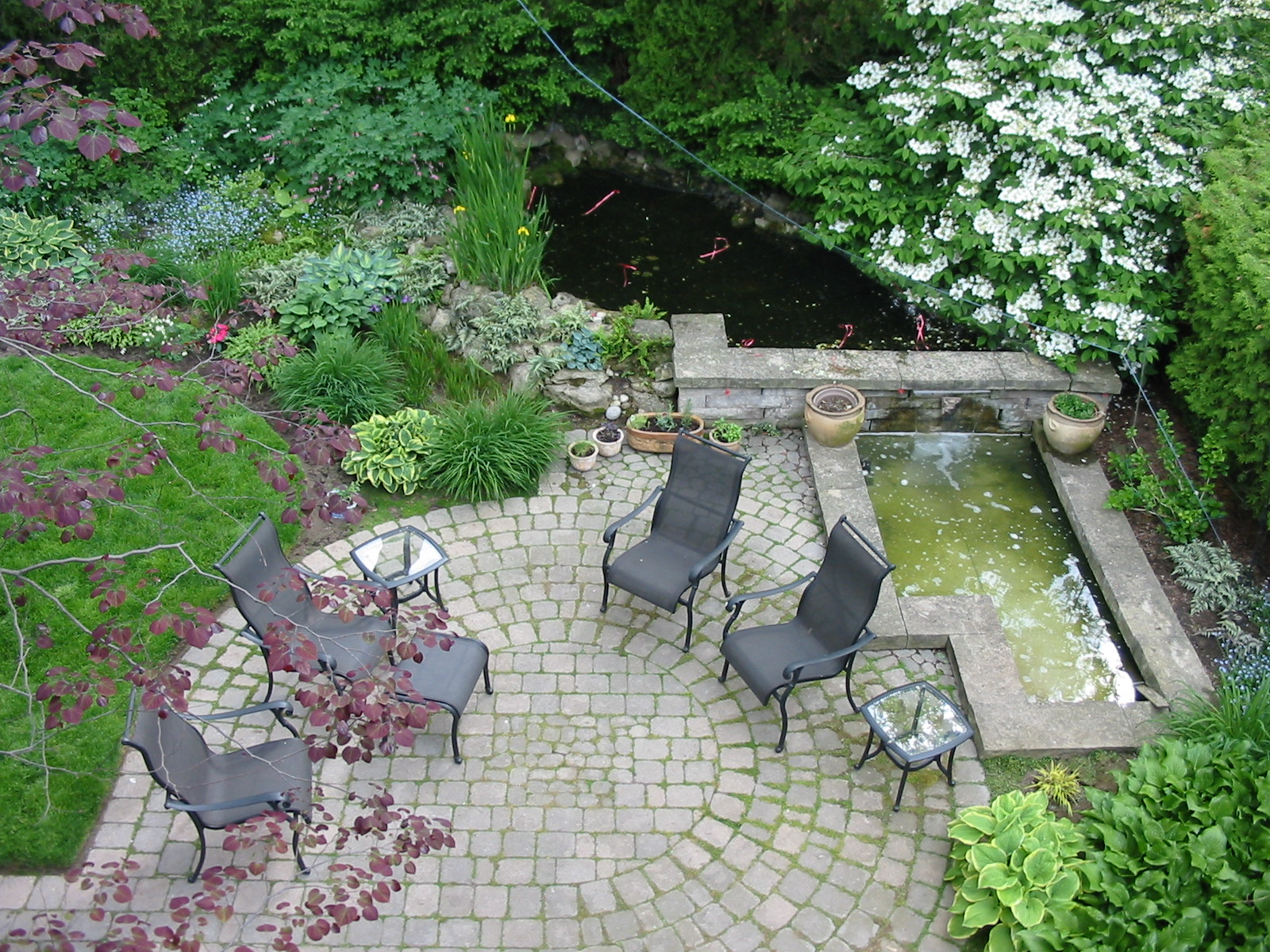 Patio with pond